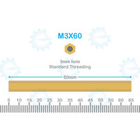 Brass Stud M3X60