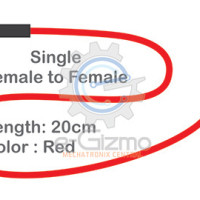 Female to Female Single Connecting Wire 20cm Red