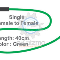 Female to Female Single Connecting Wire 40cm Green