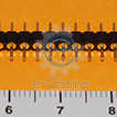 Male Header 40-Pins Gold 2.54mm Pitch