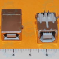 USB Type-B Female