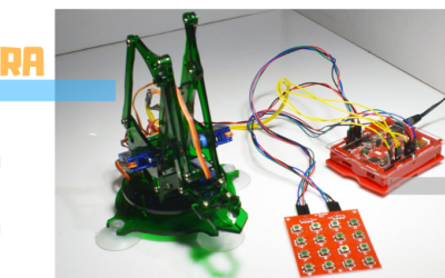 E-GRA Robot Arm with Keypad Controller Programming Example
