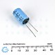 Rulycon 2200UF/16V CEW (TWSS) Electrolytic Capacitor