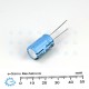 Rulycon 2200UF/16V CEW (TWSS) Electrolytic Capacitor