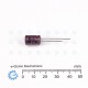 Elna Bipolar Audio Capacitor RWP 3.3uF 25WV Radial ( Non Polarized )