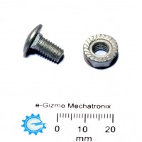 Carriage Bolt & Nut M6x12