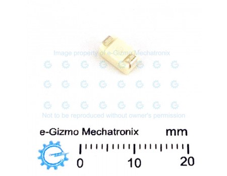 Littelfuse 4A 125VAC/VDC Time Lag Pico 460 Series 2SMD Fuse